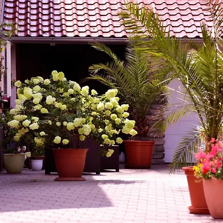 Taubergie_en アパート